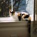 Lori Wingate - Facebook