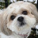 Lori Wisdom - @lori_wisdom - Instagram