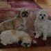 Laurie Withrow - Facebook