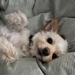 Lorraine Boisclair Withrow - @withrowlorraine - Instagram