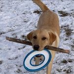 Lori Olsen - @lori.wolf.376 - Instagram