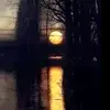 LWolf - @loriwolf70 - TikTok