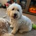 Lori Wolverton - Facebook