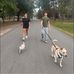 Lori Pond Woolsey - Facebook