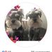 Laurie Worth - Facebook