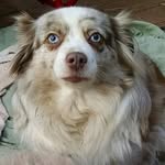 Lori Worthington - @lori.worthington.77 - Instagram