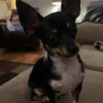 Lori Arambasich Wrobel - @lawlori80 - Instagram