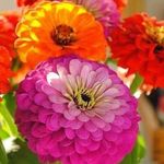 Lori Wrobel - @wrobel6204 - Instagram