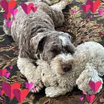 LoriandCurt Wyrick - @lori_wyrick7 - Instagram