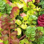 Lori Yoder - @lori.yoder.820 - Instagram