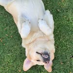 Lori Bonitz Yost - @l.yostm - Instagram