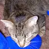 Lori Zahn385 - @lorizahn529 - TikTok