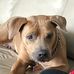Lidia Loria-Smith - Facebook