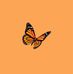 Loriann Wilson - Facebook