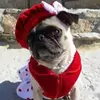 llallen888 - @lorieallen08 - TikTok