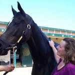 Lorie Allen - @loriallen9098 - Instagram