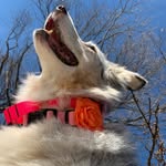 Lorie Allen - @lorieallen83 - Instagram