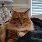 Lorie Allen - @lorie.allen.12 - Instagram