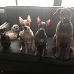 Lorie Anderson - @4packandapound - Instagram
