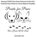 Lorie Anderson - @pointsforpaws - Instagram