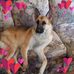Lori Armstrong - Facebook