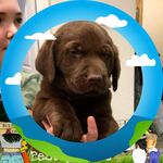 Lori Barker - @lori.barker.96 - Instagram