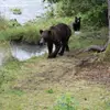 Lori Barker - @loribarker980 - TikTok