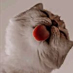 Lorie Benjamin - @loriebenjamin76 - Instagram