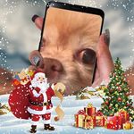 Lori Buchanan - @lori.buchanan.921 - Instagram