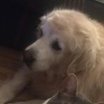 Lorie Burke - @lorie.burke - Instagram