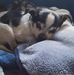 Lorie Goward Cantu - Facebook
