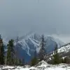 Lorie Carr - @lorie.carr2 - TikTok