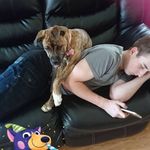 Lorie Carr-Stefnik - @lstef1 - Instagram