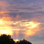 Lori Carroll-Rieger - @lorijrieger - Instagram
