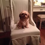 Lorie Carter - @lsc2135 - Instagram