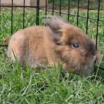 Lorie Roth Carter - @lcarter1234 - Instagram