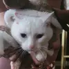 Lorrie Carter - @lorrie.carter - TikTok
