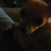 Laurie Clay - Facebook