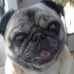 Lorie Click - Facebook