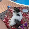 Lori Coffman686 - @loricoffman686 - TikTok