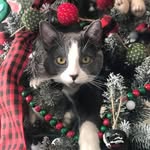 Lori McIlwain Klingerman - @lorie.cunningham - Instagram