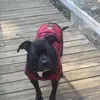 Lori Dean - @lori.dean96 - TikTok