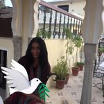 Loretta Fallon - @loretta.fallon - Instagram