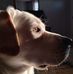 Lori Fallon - Facebook