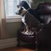 Lori Fallon - Facebook