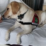 Lori Fallon - @lfallon1958 - Instagram