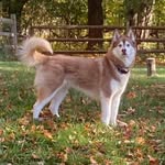 Xcgddff - @lorie_buchla_fallon - Instagram