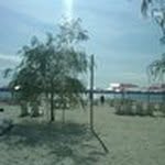 Laurie Fleming - @lauriefleming1847 - Instagram