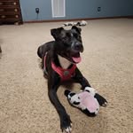 Lorie Fleming - @lorieann813 - Instagram