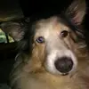 lorieannfleming - @lorieannfleming - TikTok